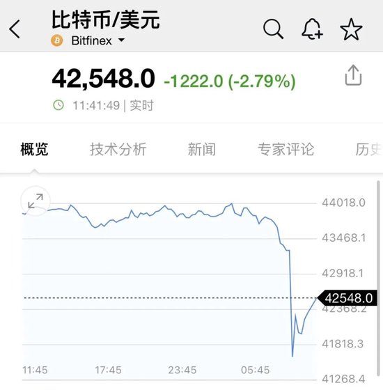 突发跳水！近6万人爆仓